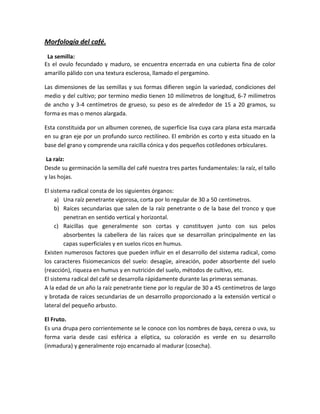 Morfología del café.
 La semilla:
Es el ovulo fecundado y maduro, se encuentra encerrada en una cubierta fina de color
amarillo pálido con una textura esclerosa, llamado el pergamino.

Las dimensiones de las semillas y sus formas difieren según la variedad, condiciones del
medio y del cultivo; por termino medio tienen 10 milímetros de longitud, 6-7 milímetros
de ancho y 3-4 centímetros de grueso, su peso es de alrededor de 15 a 20 gramos, su
forma es mas o menos alargada.

Esta constituida por un albumen coreneo, de superficie lisa cuya cara plana esta marcada
en su gran eje por un profundo surco rectilíneo. El embrión es corto y esta situado en la
base del grano y comprende una raicilla cónica y dos pequeños cotiledones orbiculares.

 La raíz:
Desde su germinación la semilla del café nuestra tres partes fundamentales: la raíz, el tallo
y las hojas.

El sistema radical consta de los siguientes órganos:
     a) Una raíz penetrante vigorosa, corta por lo regular de 30 a 50 centímetros.
     b) Raíces secundarias que salen de la raíz penetrante o de la base del tronco y que
        penetran en sentido vertical y horizontal.
     c) Raicillas que generalmente son cortas y constituyen junto con sus pelos
        absorbentes la cabellera de las raíces que se desarrollan principalmente en las
        capas superficiales y en suelos ricos en humus.
Existen numerosos factores que pueden influir en el desarrollo del sistema radical, como
los caracteres fisiomecanicos del suelo: desagüe, aireación, poder absorbente del suelo
(reacción), riqueza en humus y en nutrición del suelo, métodos de cultivo, etc.
El sistema radical del café se desarrolla rápidamente durante las primeras semanas.
A la edad de un año la raíz penetrante tiene por lo regular de 30 a 45 centímetros de largo
y brotada de raíces secundarias de un desarrollo proporcionado a la extensión vertical o
lateral del pequeño arbusto.

El Fruto.
Es una drupa pero corrientemente se le conoce con los nombres de baya, cereza o uva, su
forma varia desde casi esférica a elíptica, su coloración es verde en su desarrollo
(inmadura) y generalmente rojo encarnado al madurar (cosecha).
 