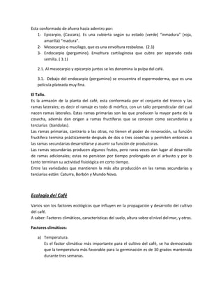 Esta conformado de afuera hacia adentro por:
    1- Epicarpio, (Cascara). Es una cubierta según su estado (verde) “inmadura” (roja,
       amarilla) “madura”.
    2- Mesocarpio o mucilago, que es una envoltura resbalosa. (2.1)
    3- Endocarpio (pergamino). Envoltura cartilaginosa que cubre por separado cada
       semilla. ( 3.1)

   2.1. Al mesocarpio y epicarpio juntos se les denomina la pulpa del café.

   3.1. Debajo del endocarpio (pergamino) se encuentra el espermoderma, que es una
   película plateada muy fina.

El Tallo.
Es la armazón de la planta del café, esta conformada por el conjunto del tronco y las
ramas laterales; es decir el ramaje es todo di mórfico, con un tallo perpendicular del cual
nacen ramas laterales. Estas ramas primarias son las que producen la mayor parte de la
cosecha, además dan origen a ramas fructíferas que se conocen como secundarias y
terciarias (bandolas).
Las ramas primarias, contrario a las otras, no tienen el poder de renovación, su función
fructífera termina prácticamente después de dos o tres cosechas y permiten entonces a
las ramas secundarias desarrollarse y asumir su función de productoras.
Las ramas secundarias producen algunos frutos, pero raras veces dan lugar al desarrollo
de ramas adicionales; estas no persisten por tiempo prolongado en el arbusto y por lo
tanto terminan su actividad fisiológica en corto tiempo.
Entre las variedades que mantienen la más alta producción en las ramas secundarias y
terciarias están: Caturra, Borbón y Mundo Novo.



Ecología del Café
Varios son los factores ecológicos que influyen en la propagación y desarrollo del cultivo
del café.
A saber: Factores climáticos, características del suelo, altura sobre el nivel del mar, y otros.

Factores climáticos:

   a) Temperatura.
      Es el factor climático más importante para el cultivo del café, se ha demostrado
      que la temperatura más favorable para la germinación es de 30 grados mantenida
      durante tres semanas.
 