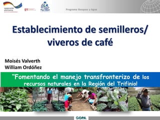 “Fomentando el manejo transfronterizo de los
recursos naturales en la Región del Trifinio!
Establecimiento de semilleros/
viveros de café
Moisés Valverth
William Ordóñez
 