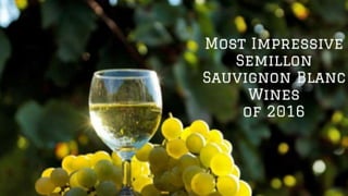 Most Impressive Semillon Sauvignon Blanc wines of 2016