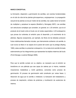MARCO CONCEPTUAL 
La formación, dispersión y germinación de semillas, son eventos fundamentales 
en el ciclo de vida de las plantas gimnospermas y angiospermas. La propagación 
sexual de las plantas se da por medio de las semillas, las cuales tienen la función 
de multiplicar y perpetuar la especie (Bradford y Nonogaky 2007). Las semillas 
son estructuras complejas que consisten, en general, en: i) El embrión, que es el 
producto de la fusión entre el óvulo con el núcleo espermático. ii) El endospermo 
que provee de nutrientes al embrión para el desarrollo y el crecimiento de la 
plántula. Algunas excepciones, por ejemplo, las flores de las labiadas producen 
frutos indehiscentes llamados núculas, que internamente contienen a la semilla, la 
cual nunca se libera ni se separa de la pared del ovario que la protege (Ryding 
1995), estas semillas no presentan endospermo. iii) La testa de la semilla formada 
externamente por los integumentos que representan los tejidos maternos del óvulo 
(Finch-Savage y Leubner-Metzger 2006). 
Para que la semilla cumpla con su objetivo, es necesario que el embrión se 
transforme en una plántula que sea capaz de valerse por sí misma, mediante 
mecanismos metabólicos y morfo genéticos, conocidos como proceso de 
germinación. El proceso de germinación está constituido por varias fases: i) 
Absorción de agua por la semilla o imbibición; ii) Activación del metabolismo y 
proceso de respiración, síntesis de proteínas y movilización de sustancias de 
reserva; 
 