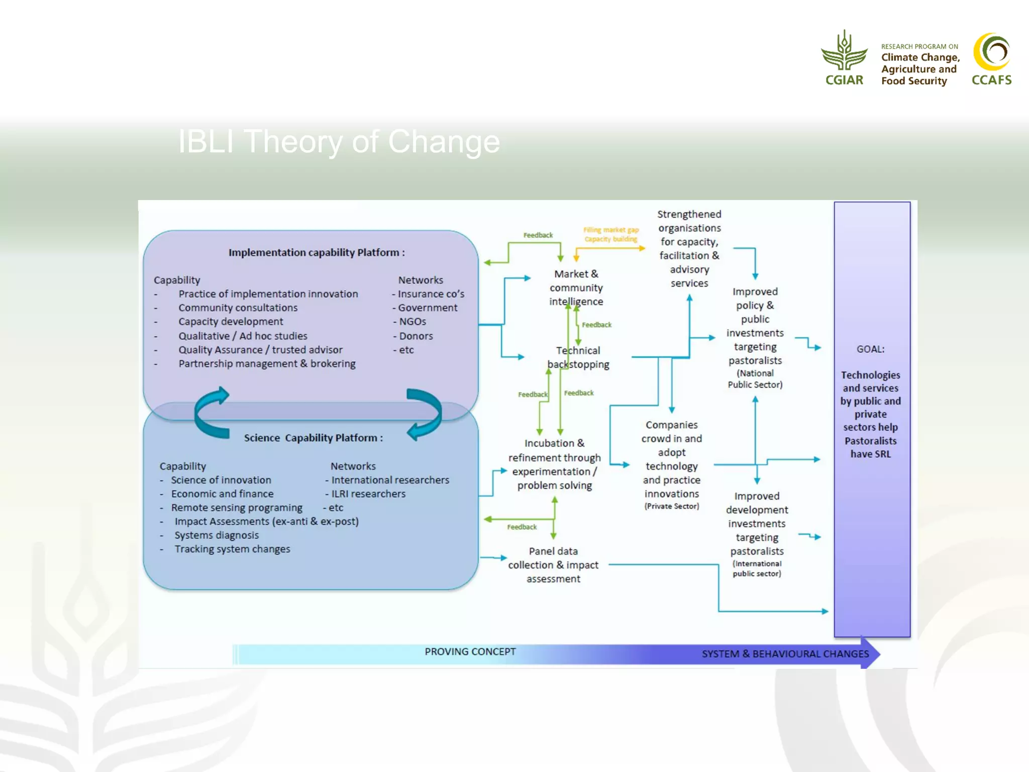 IBLI Theory of Change
 