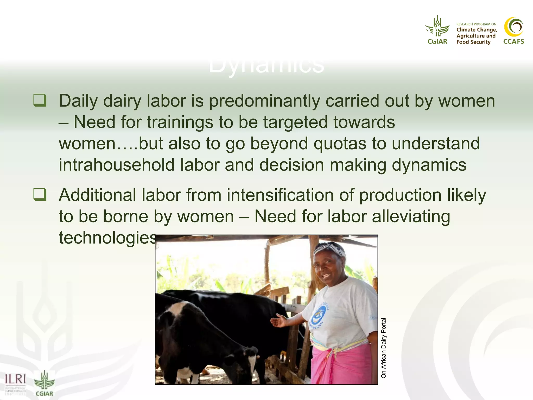 Gender Power Issue II: Labor
Dynamics
 Daily dairy labor is predominantly carried out by women
– Need for trainings to be targeted towards
women….but also to go beyond quotas to understand
intrahousehold labor and decision making dynamics
 Additional labor from intensification of production likely
to be borne by women – Need for labor alleviating
technologies
OnAfricanDairyPortal
 