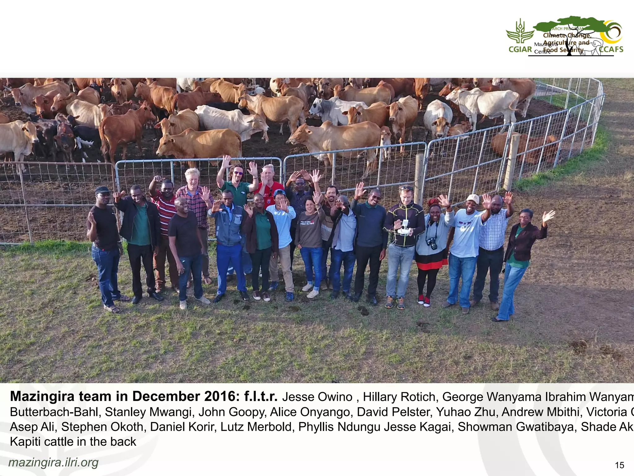 Questions?
Mazingira team in December 2016: f.l.t.r. Jesse Owino , Hillary Rotich, George Wanyama Ibrahim Wanyam
Butterbach-Bahl, Stanley Mwangi, John Goopy, Alice Onyango, David Pelster, Yuhao Zhu, Andrew Mbithi, Victoria C
Asep Ali, Stephen Okoth, Daniel Korir, Lutz Merbold, Phyllis Ndungu Jesse Kagai, Showman Gwatibaya, Shade Aki
Kapiti cattle in the back
mazingira.ilri.org 15
 