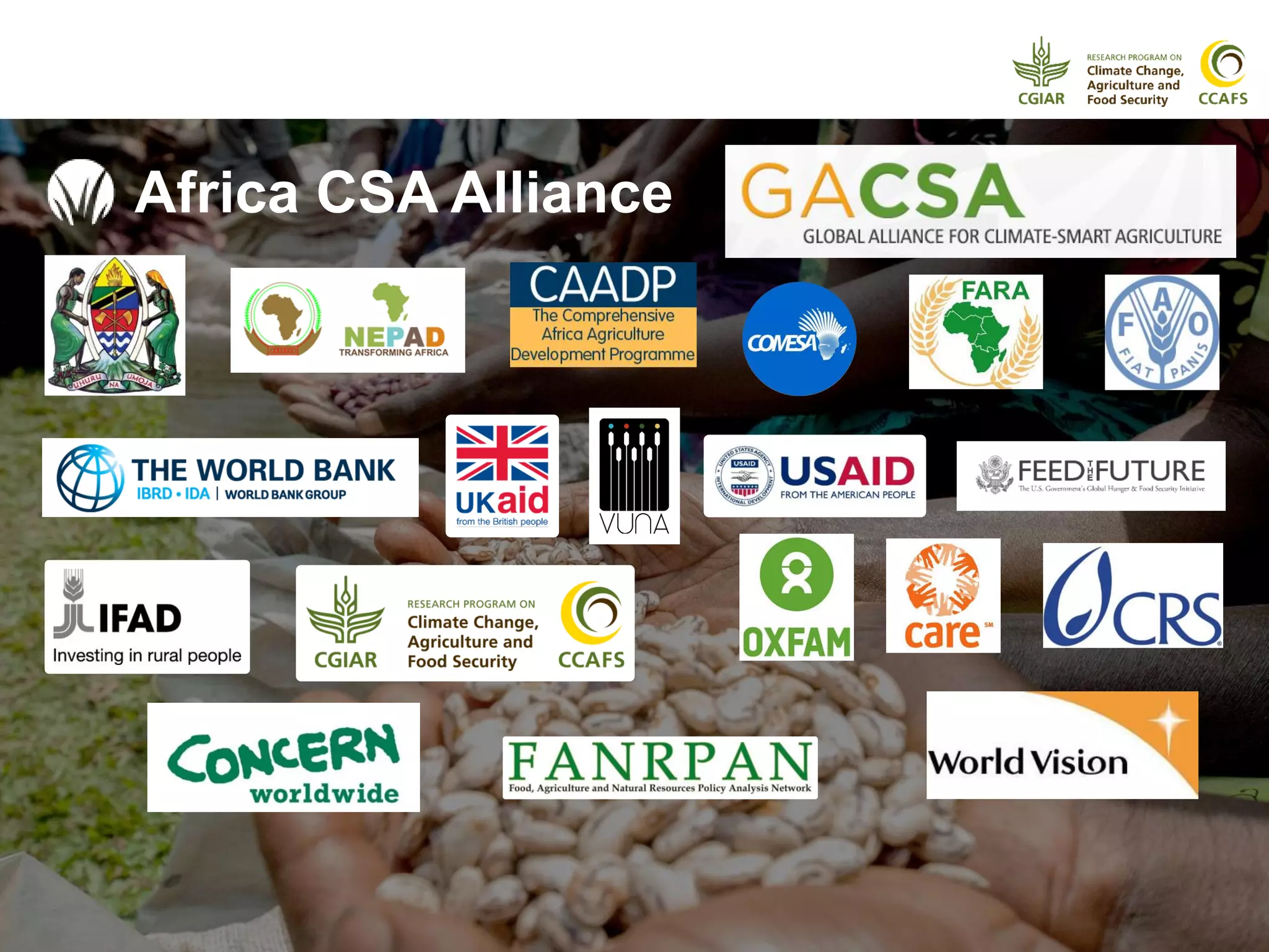 Africa CSA Alliance
 