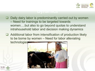 CCAFS Seminar on Science to Deliver Adaptation and Mitigation in East African Agriculture