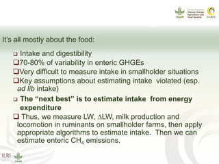 CCAFS Seminar on Science to Deliver Adaptation and Mitigation in East African Agriculture