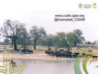 CCAFS Seminar on Science to Deliver Adaptation and Mitigation in East African Agriculture