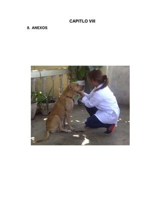 CAPITLO VIII 
8. ANEXOS 
 
