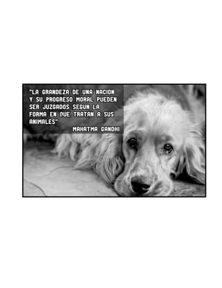 Proyecto Social: Cuidado y Protección Social