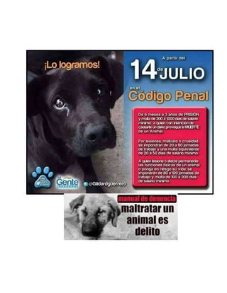 Proyecto Social: Cuidado y Protección Social