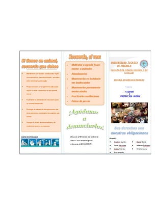 Proyecto Social: Cuidado y Protección Social