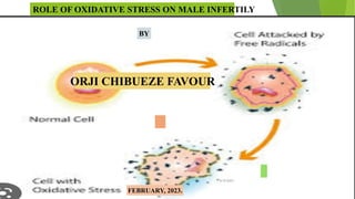 1
ROLE OF OXIDATIVE STRESS ON MALE INFERTILY
BY
ORJI CHIBUEZE FAVOUR
FEBRUARY, 2023.
6/9/2023
 