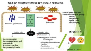 Role of Oxidative Stress on male infertility | PPTX