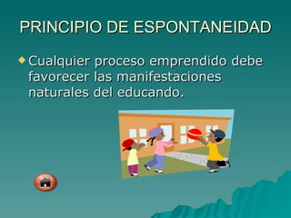 PRINCIPIO DE ESPONTANEIDAD Cualquier proceso emprendido debe favorecer las manifestaciones naturales del educando. 