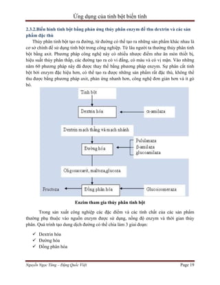 Ứng dụng của tinh bột biến tính
2.3.2.Biến hình tinh bột bằng phản ứng thủy phân enzym để thu dextrin và các sản
phẩm đặc thù
Thủy phân tinh bột tạo ra đường, từ đường có thể tạo ra những sản phẩm khác nhau là
cơ sở chính để sử dụng tinh bột trong công nghiệp. Từ lâu người ta thường thủy phân tinh
bột bằng axit. Phương pháp công nghệ này có nhiều nhược điểm như ăn mòn thiết bị,
hiệu suất thủy phân thấp, các đường tạo ra có vi đắng, có màu và có vị mặn. Vào những
năm 60 phương pháp này đã được thay thế bằng phương pháp enzym. Sự phân cắt tinh
bột bởi enzym đặc hiệu hơn, có thể tạo ra được những sản phẩm rất đặc thù, không thể
thu được bằng phương pháp axit, phản ứng nhanh hơn, công nghệ đơn giản hơn và ít gò
bó.

Enzim tham gia thủy phân tinh bột
Trong sản xuất công nghiệp các đặc điểm và các tính chất của các sản phẩm
thường phụ thuộc vào nguồn enzym được sử dụng, nồng độ enzym và thời gian thủy
phân. Quá trình tạo dung dịch đường có thể chia làm 3 giai đoạn:
 Dextrin hóa
 Đường hóa
 Đồng phân hóa

Nguyễn Ngọc Tăng – Đặng Quốc Việt

Page 19

 