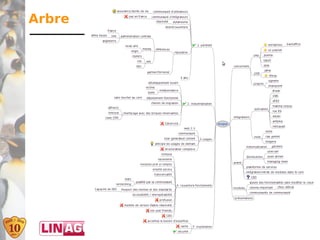 Arbre




        31
 