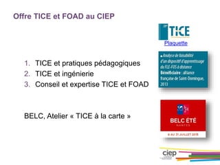 Offre TICE et FOAD au CIEP
Plaquette
1. TICE et pratiques pédagogiques
2. TICE et ingénierie
3. Conseil et expertise TICE et FOAD
BELC, Atelier « TICE à la carte »
 