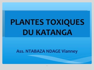 PLANTES TOXIQUES
PLANTES TOXIQUES
DU KATANGA
DU KATANGA
Ass. NTABAZA NDAGE Vianney
1

 