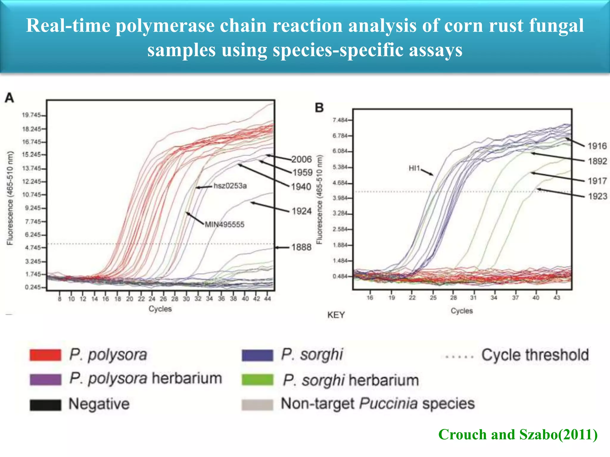 importance of pathogenomics in plant pathology | PPTX