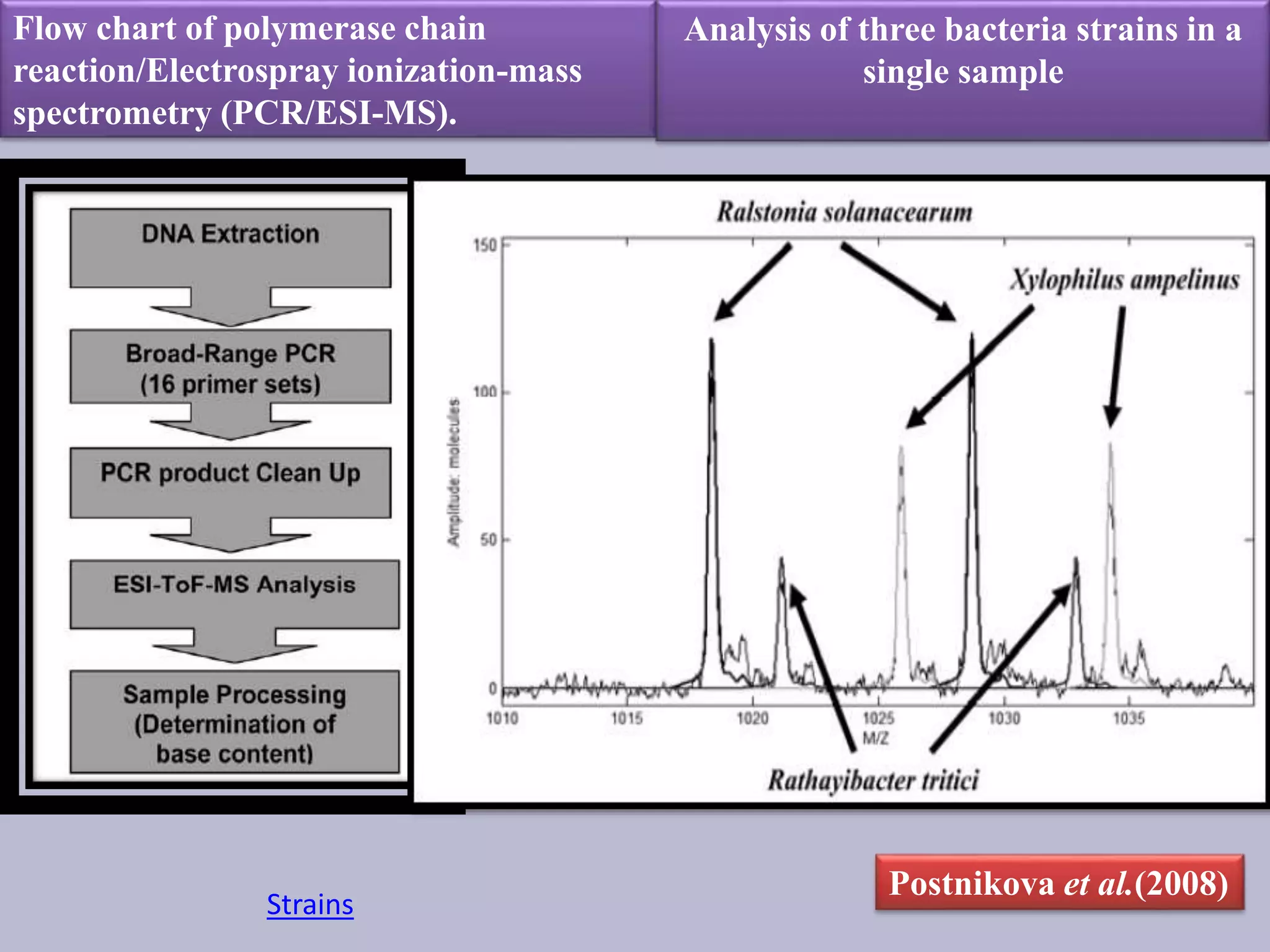 importance of pathogenomics in plant pathology | PPTX