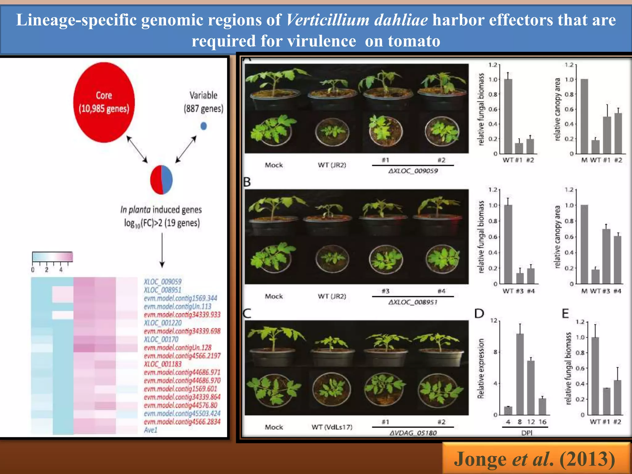 importance of pathogenomics in plant pathology | PPTX
