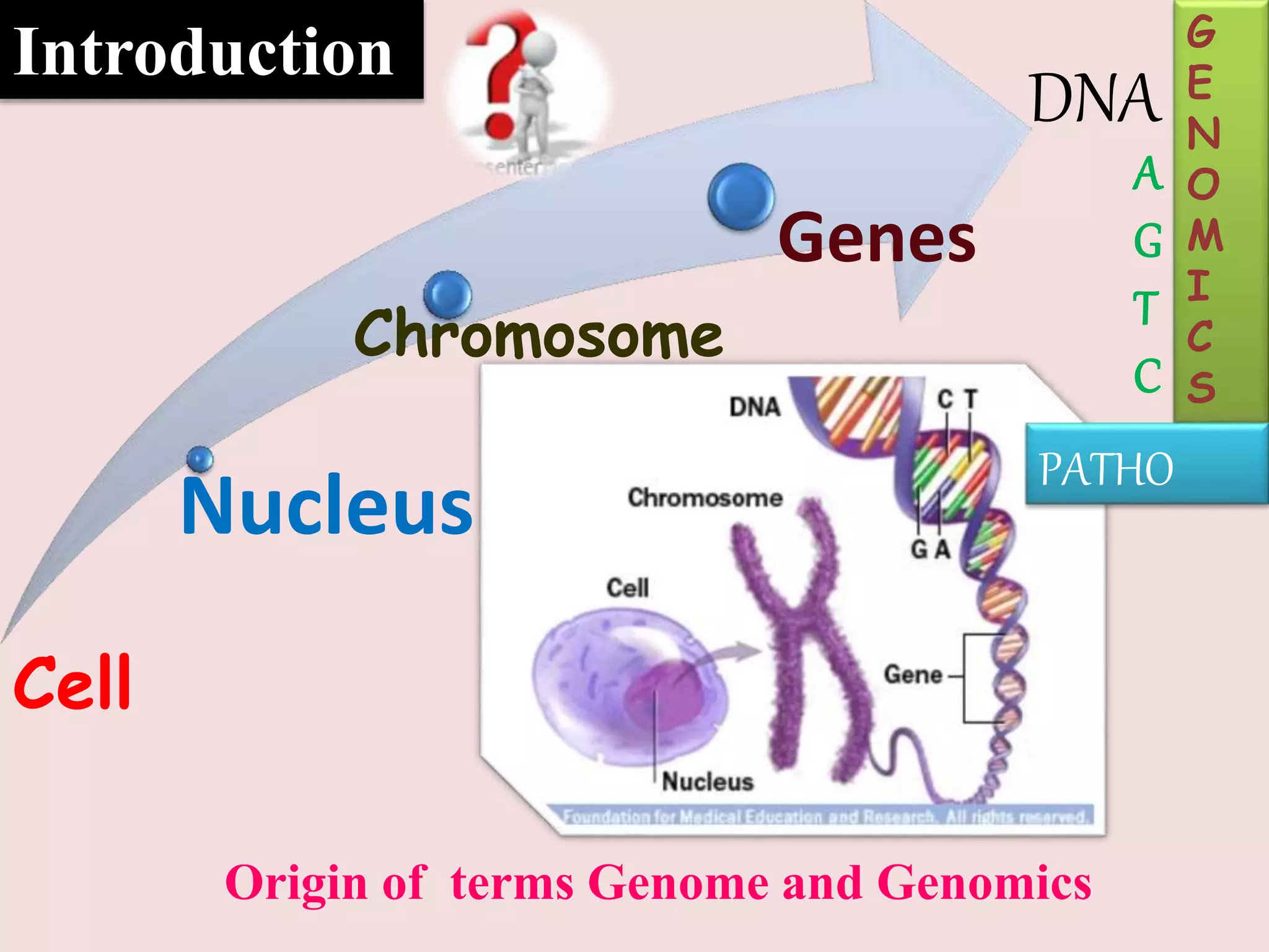 importance of pathogenomics in plant pathology | PPTX