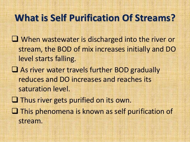 Self Purification Of Streams Seminan Ppt