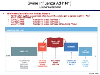Swine Influenza A(H1N1)  Global Response The WHO raises the alert level to Phase 6 WHO’s alert system was revised after Avian influenza began to spread in 2004 – Alert Level raised to Phase 3 April 27, 2009:  Alert Level raised to Phase 4 April 29, 2009:  Alert Level raised to Phase 5 June 11, 2008: Alert Level raised to Phase 6 (Pandemic Phase) Source: WHO 