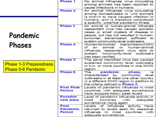 Pandemic  Phases Phase 1-3 Preparedness Phase 5-6 Pandemic 