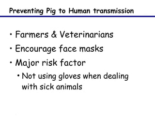 Preventing Pig to Human transmission Farmers & Veterinarians Encourage face masks Major risk factor Not using gloves when dealing with sick animals 