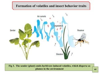 Tritrophic Interactions Mediated By Herbivore Induced Plant Volatiles ...