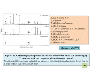 Tritrophic Interactions Mediated By Herbivore Induced Plant Volatiles ...