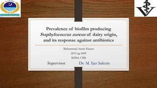 Prevalence of biofilm producing
Staphylococcus aureus of dairy origin,
and its response against antibiotics
Muhammad Aamir Naseer
2012-ag-2609
M.Phil. CMS
Supervisor Dr. M. Ijaz Saleem
 