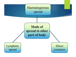 Mode of
spread to other
part of body
Haematogenous
spread
Lymphatic
spread
Direct
extention
 