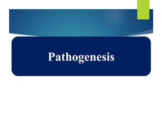 Pathogenesis
 