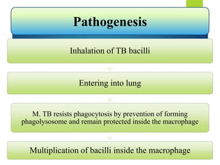 Inhalation of TB bacilli
Entering into lung
M. TB resists phagocytosis by prevention of forming
phagolysosome and remain protected inside the macrophage
Multiplication of bacilli inside the macrophage
Pathogenesis
 