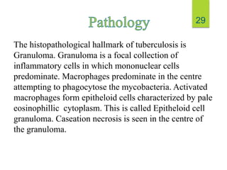 The histopathological hallmark of tuberculosis is
Granuloma. Granuloma is a focal collection of
inflammatory cells in which mononuclear cells
predominate. Macrophages predominate in the centre
attempting to phagocytose the mycobacteria. Activated
macrophages form epitheloid cells characterized by pale
eosinophillic cytoplasm. This is called Epitheloid cell
granuloma. Caseation necrosis is seen in the centre of
the granuloma.
29
 