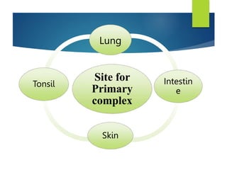 Site for
Primary
complex
Lung
Intestin
e
Skin
Tonsil
 