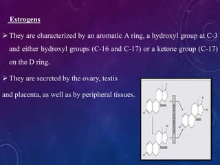 Estrogens
They are characterized by an aromatic A ring, a hydroxyl group at C-3
and either hydroxyl groups (C-16 and C-17) or a ketone group (C-17)
on the D ring.
They are secreted by the ovary, testis
and placenta, as well as by peripheral tissues.
 