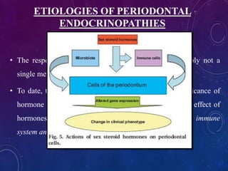 ETIOLOGIES OF PERIODONTAL
ENDOCRINOPATHIES
• The response of the periodontium in disease is probably not a
single mechanism but, rather, is multifactorial in nature.
• To date, the most prominent explanations for the significance of
hormone action in the periodontium have dealt with the effect of
hormones on microbial organisms, the vasculature, the immune
system and specific cells in the periodontium.
 