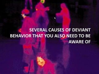  ArsonCORRUPTIONORGANIZED CRIME Drug trafficking