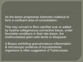 As the lesion progresses tubercles coalesce to 
form a confluent area of consolidation. 
This may convert to fibro calcified scar or walled 
by hyaline collageneous connective tissue, under 
favorable conditions in their late lesion, the 
multinucleated giant cells tends to disappear. 
A Biopsy exhibiting granulomatous inflammation 
& microscopic evidence of mycobacterial 
organisms is often suggestive of Tuberculosis. 
 