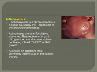 Actinomycosis: 
 Actinomycosis is a chronic infectious 
disease caused by the organisms of 
the order Actinomycetase. 
 Actinomyces are strict facultative 
anerobes. They require an organic 
nitrogen source and an atmosphere 
containing atleast 5% CO2 for their 
growth. 
 A.isrelli is an organism most 
commonly incriminated in the human 
bodies. 
 