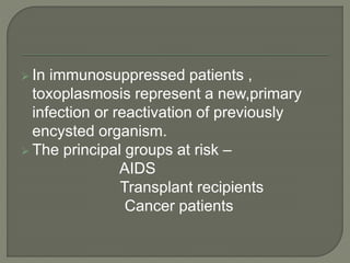  In immunosuppressed patients , 
toxoplasmosis represent a new,primary 
infection or reactivation of previously 
encysted organism. 
 The principal groups at risk – 
AIDS 
Transplant recipients 
Cancer patients 
 