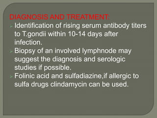 DIAGNOSIS AND TREATMENT: 
 Identification of rising serum antibody titers 
to T.gondii within 10-14 days after 
infection. 
 Biopsy of an involved lymphnode may 
suggest the diagnosis and serologic 
studies if possible. 
 Folinic acid and sulfadiazine,if allergic to 
sulfa drugs clindamycin can be used. 
 
