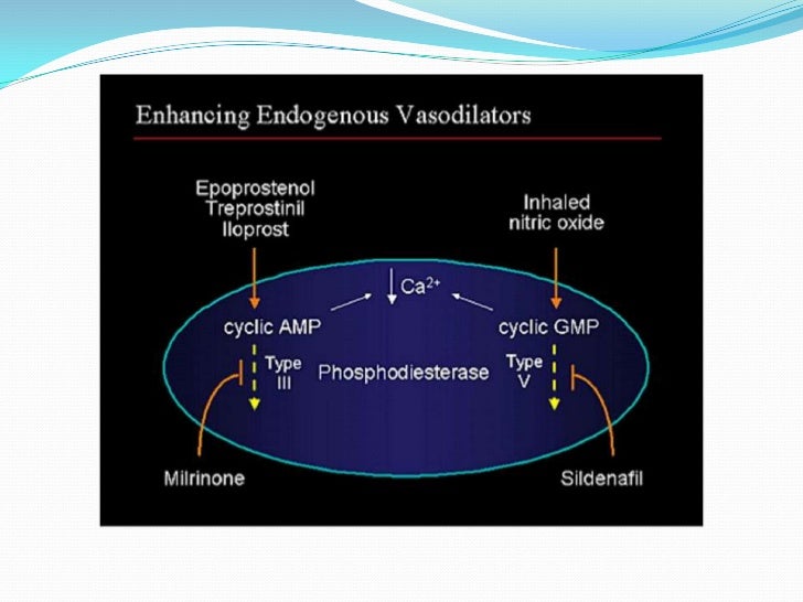 Sildenafil I.V