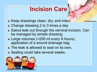Incision Care
Keep dressings clean, dry, and intact.
Change dressing 2 to 3 times a day
Saliva leak out through the cervical incision. Can
be managed by simple dressing
Large volumes (>250 ml every 8 hours),
application of a wound drainage bag
The leak is allowed to seal on its own,
Sealing could take several weeks.
 
