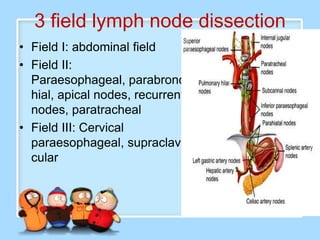 3 field lymph node dissection
• Field I: abdominal field
• Field II:
  Paraesophageal, parabronc
  hial, apical nodes, recurrent
  nodes, paratracheal
• Field III: Cervical
  paraesophageal, supraclavi
  cular
 