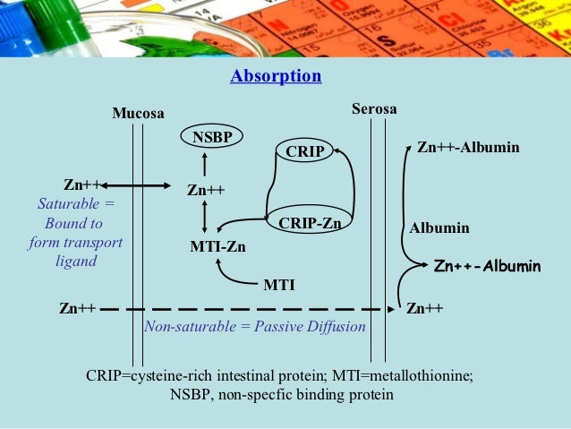 absorb to help zinc how Zn, minerals, Co trace